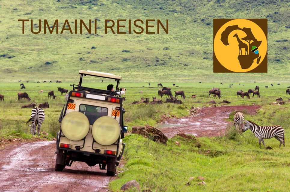 Picture Tumainireisen